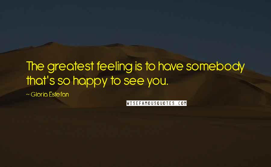 Gloria Estefan Quotes: The greatest feeling is to have somebody that's so happy to see you.