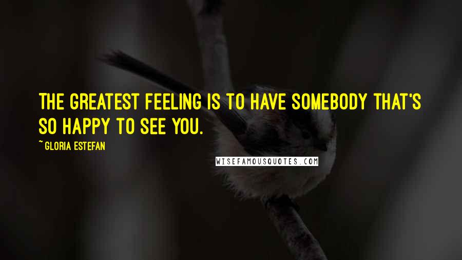 Gloria Estefan Quotes: The greatest feeling is to have somebody that's so happy to see you.