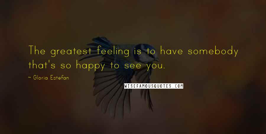 Gloria Estefan Quotes: The greatest feeling is to have somebody that's so happy to see you.