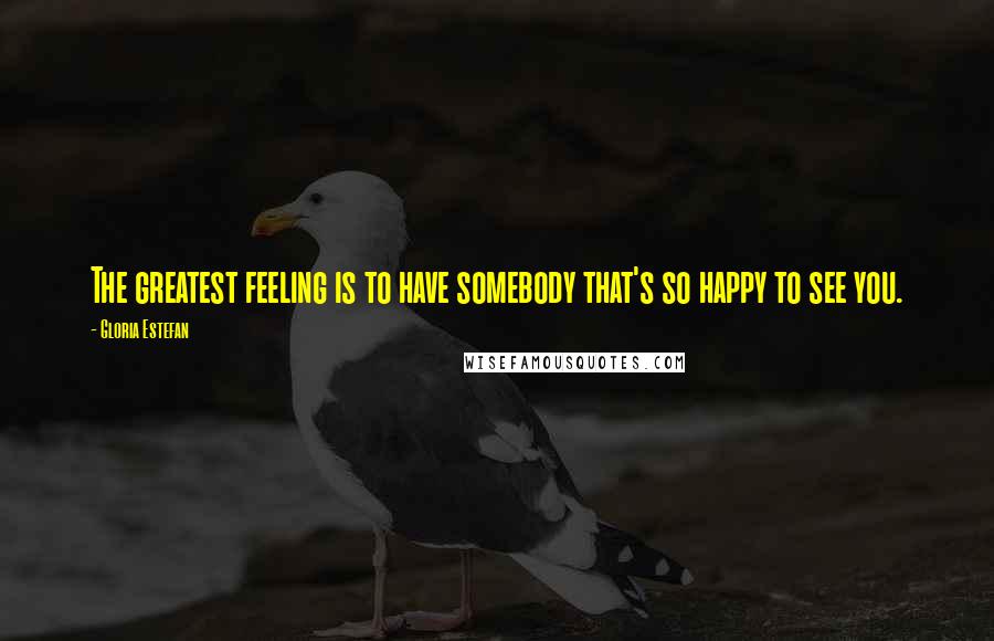 Gloria Estefan Quotes: The greatest feeling is to have somebody that's so happy to see you.