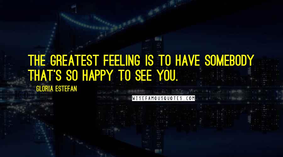 Gloria Estefan Quotes: The greatest feeling is to have somebody that's so happy to see you.