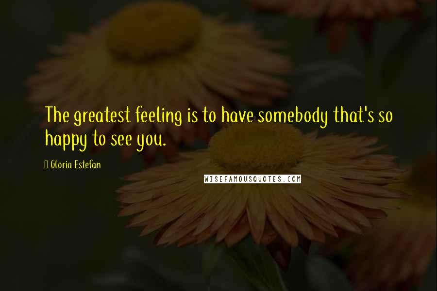 Gloria Estefan Quotes: The greatest feeling is to have somebody that's so happy to see you.