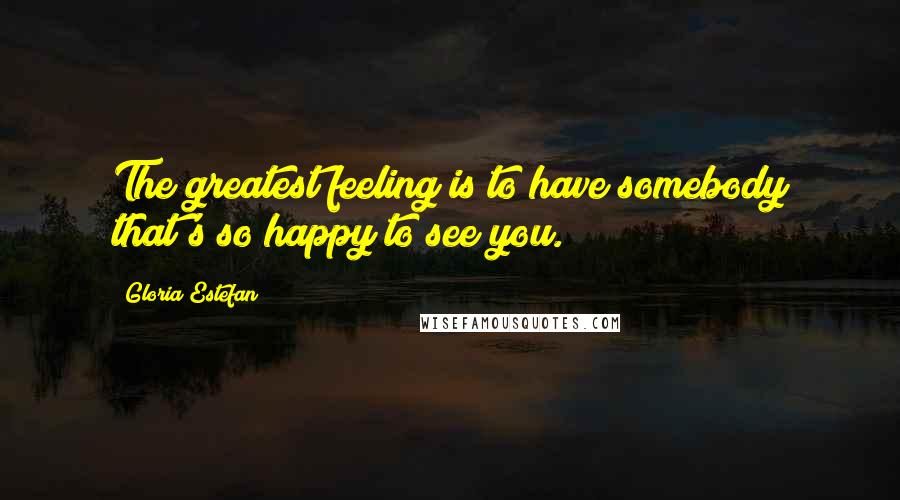 Gloria Estefan Quotes: The greatest feeling is to have somebody that's so happy to see you.