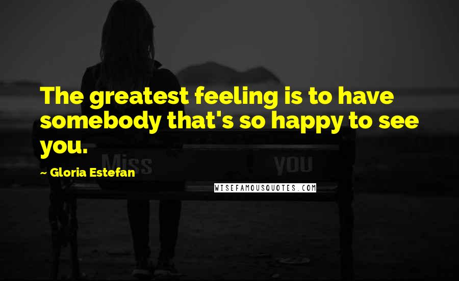 Gloria Estefan Quotes: The greatest feeling is to have somebody that's so happy to see you.