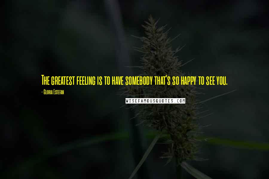 Gloria Estefan Quotes: The greatest feeling is to have somebody that's so happy to see you.