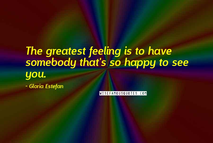 Gloria Estefan Quotes: The greatest feeling is to have somebody that's so happy to see you.