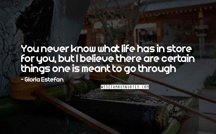 Gloria Estefan Quotes: You never know what life has in store for you, but I believe there are certain things one is meant to go through