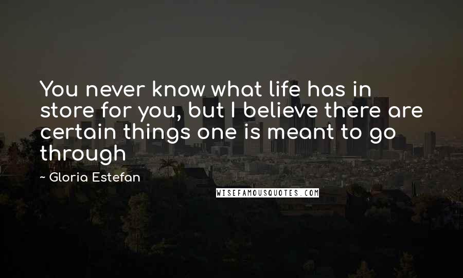 Gloria Estefan Quotes: You never know what life has in store for you, but I believe there are certain things one is meant to go through