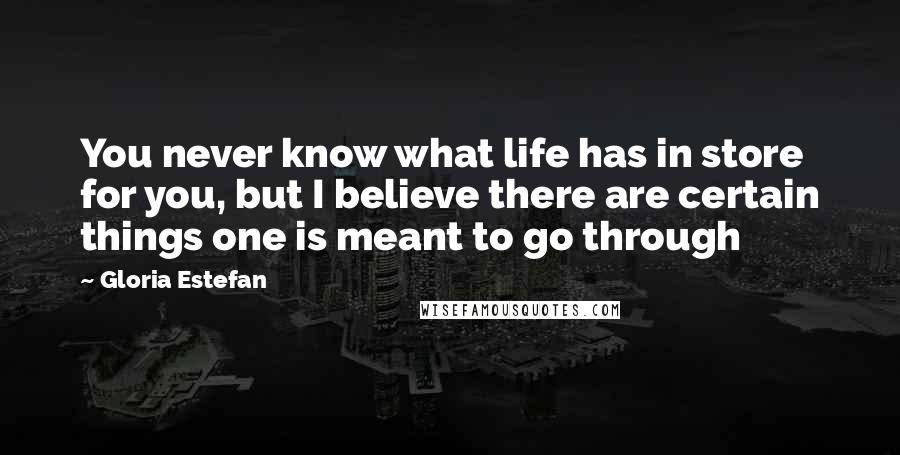 Gloria Estefan Quotes: You never know what life has in store for you, but I believe there are certain things one is meant to go through