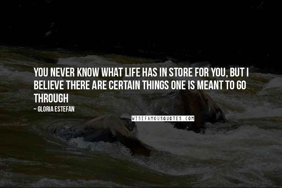 Gloria Estefan Quotes: You never know what life has in store for you, but I believe there are certain things one is meant to go through