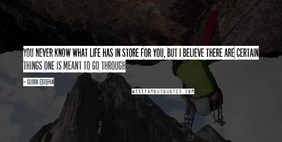 Gloria Estefan Quotes: You never know what life has in store for you, but I believe there are certain things one is meant to go through