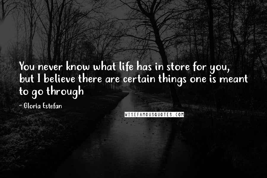 Gloria Estefan Quotes: You never know what life has in store for you, but I believe there are certain things one is meant to go through