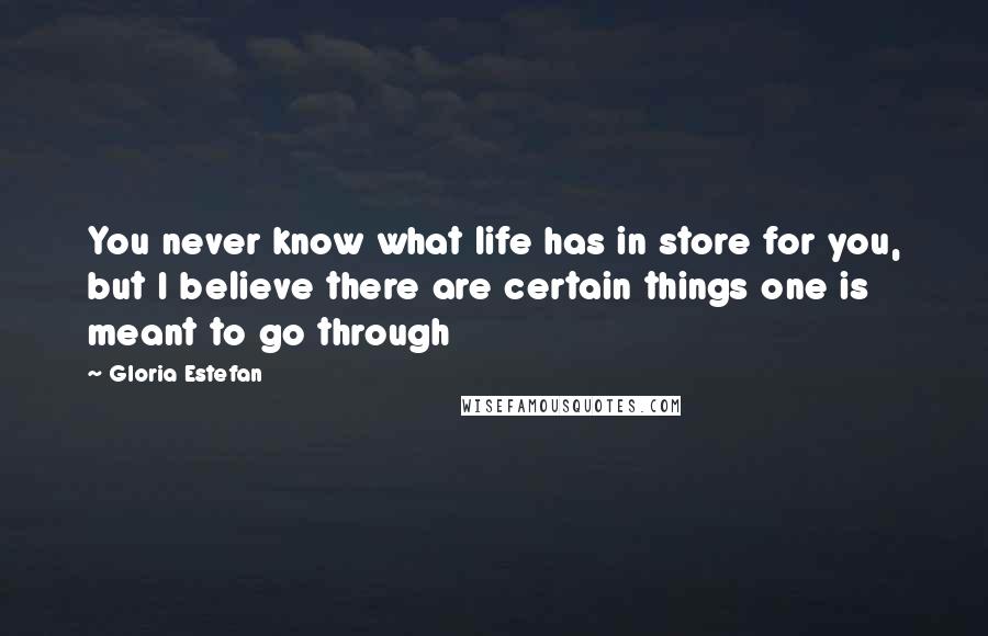 Gloria Estefan Quotes: You never know what life has in store for you, but I believe there are certain things one is meant to go through