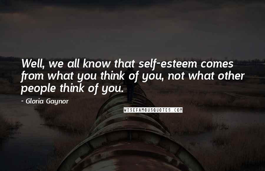 Gloria Gaynor Quotes: Well, we all know that self-esteem comes from what you think of you, not what other people think of you.