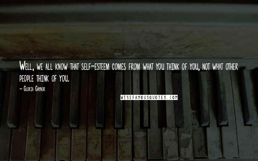 Gloria Gaynor Quotes: Well, we all know that self-esteem comes from what you think of you, not what other people think of you.