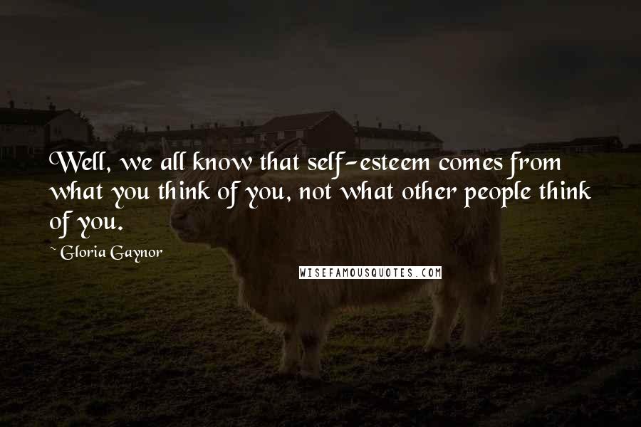 Gloria Gaynor Quotes: Well, we all know that self-esteem comes from what you think of you, not what other people think of you.