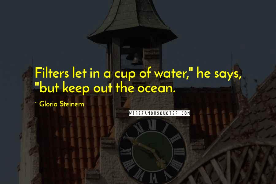 Gloria Steinem Quotes: Filters let in a cup of water," he says, "but keep out the ocean.