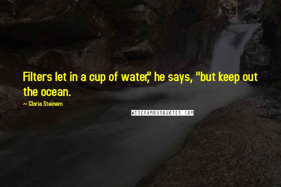 Gloria Steinem Quotes: Filters let in a cup of water," he says, "but keep out the ocean.
