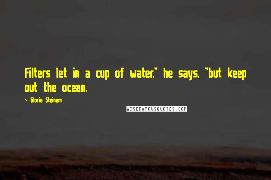 Gloria Steinem Quotes: Filters let in a cup of water," he says, "but keep out the ocean.