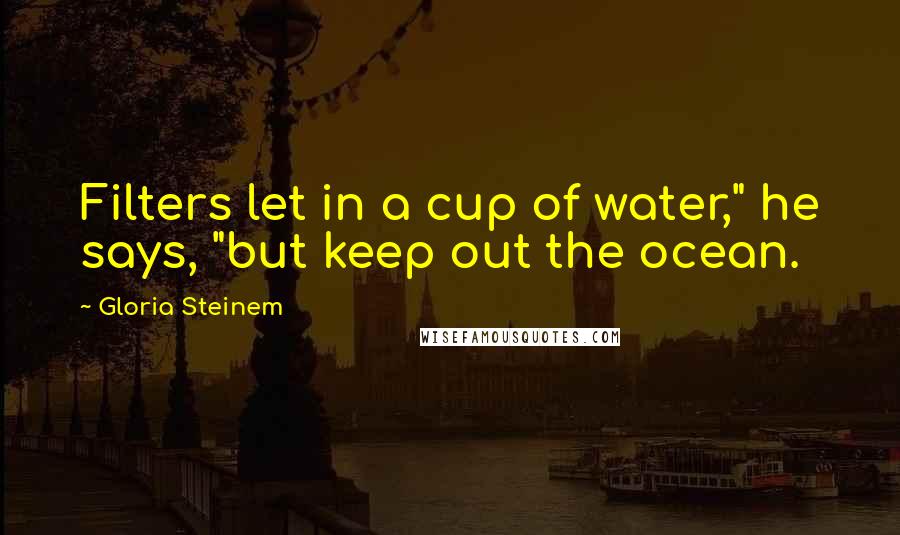Gloria Steinem Quotes: Filters let in a cup of water," he says, "but keep out the ocean.