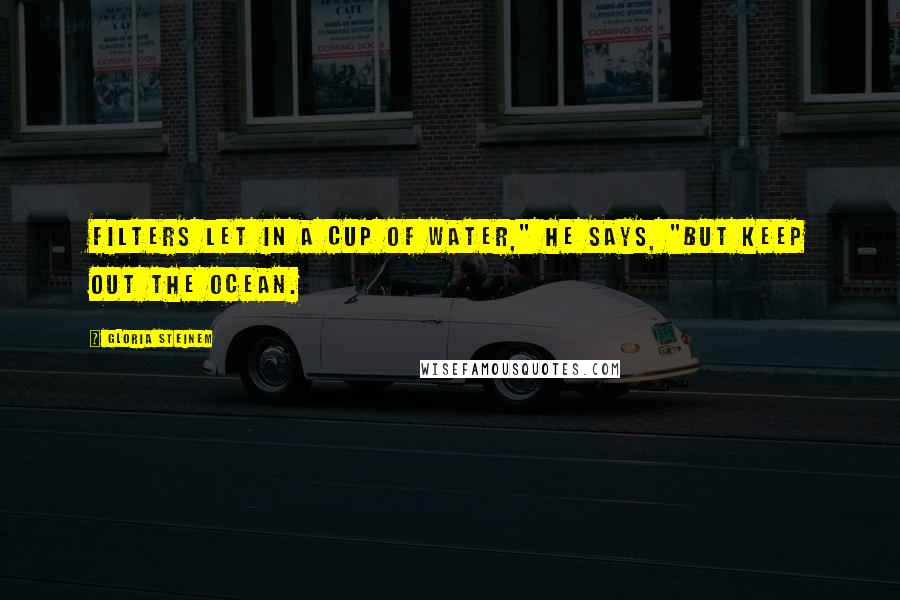 Gloria Steinem Quotes: Filters let in a cup of water," he says, "but keep out the ocean.