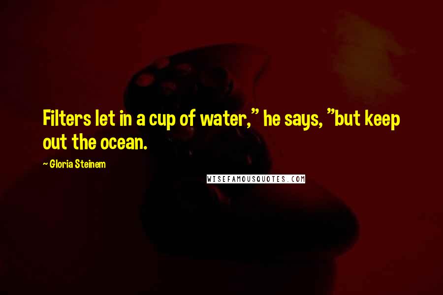 Gloria Steinem Quotes: Filters let in a cup of water," he says, "but keep out the ocean.