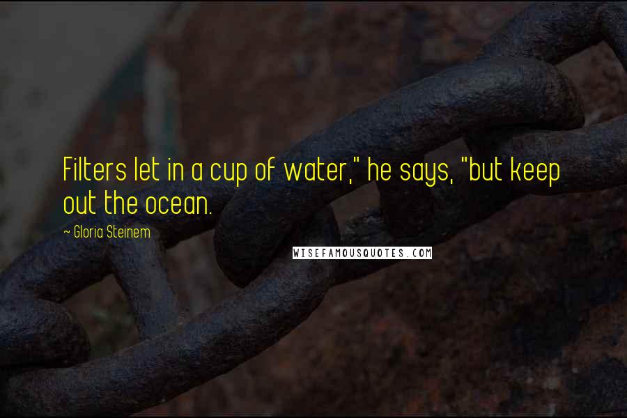 Gloria Steinem Quotes: Filters let in a cup of water," he says, "but keep out the ocean.