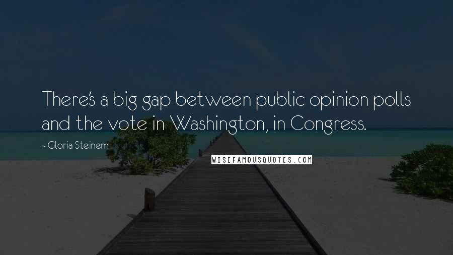 Gloria Steinem Quotes: There's a big gap between public opinion polls and the vote in Washington, in Congress.