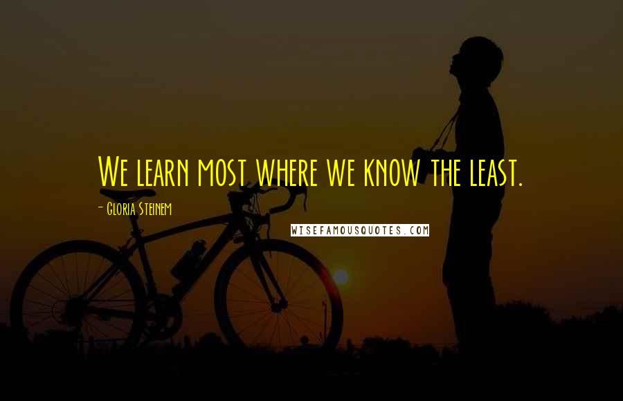 Gloria Steinem Quotes: We learn most where we know the least.