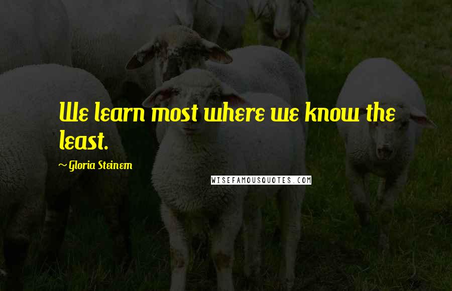 Gloria Steinem Quotes: We learn most where we know the least.