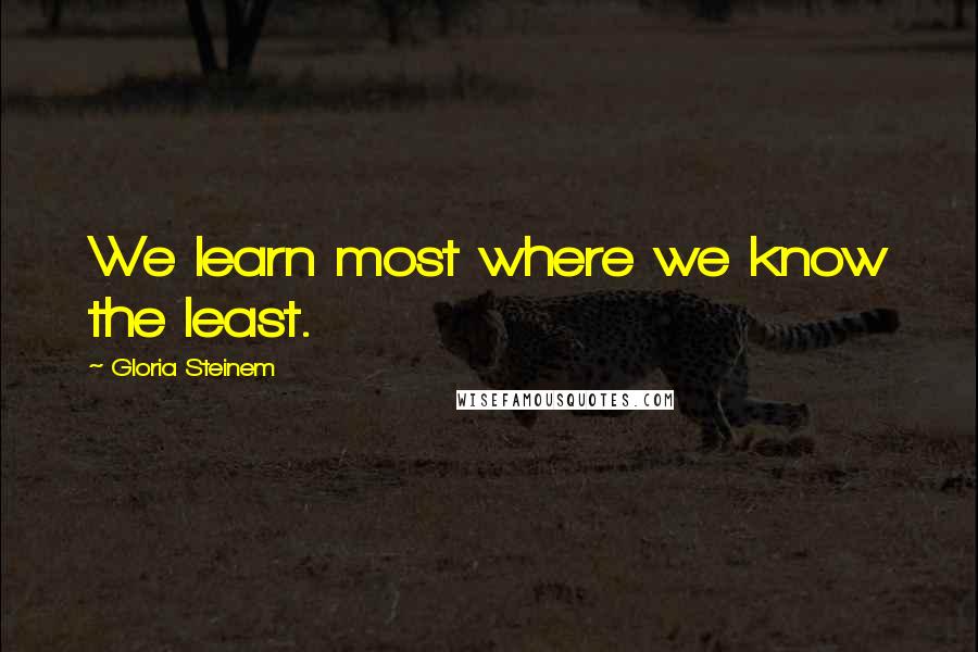 Gloria Steinem Quotes: We learn most where we know the least.