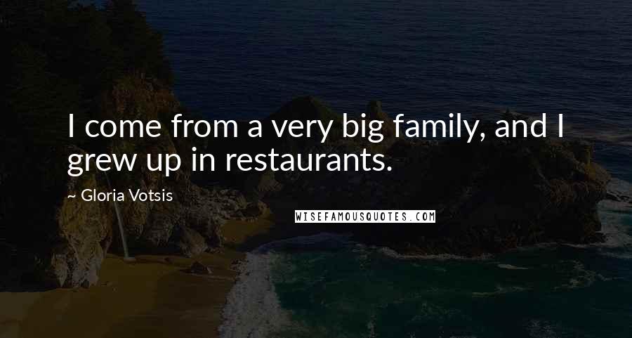 Gloria Votsis Quotes: I come from a very big family, and I grew up in restaurants.