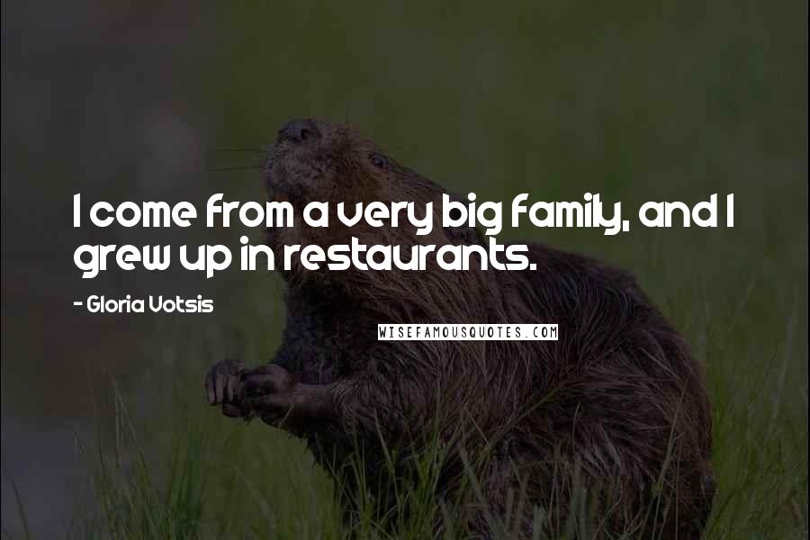 Gloria Votsis Quotes: I come from a very big family, and I grew up in restaurants.