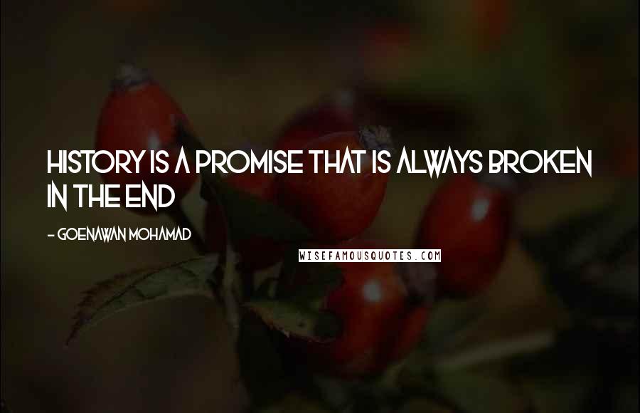 Goenawan Mohamad Quotes: History is a promise that is always broken in the end