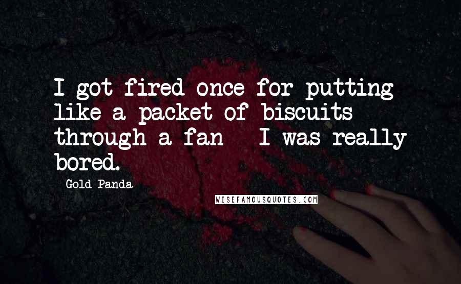 Gold Panda Quotes: I got fired once for putting like a packet of biscuits through a fan - I was really bored.