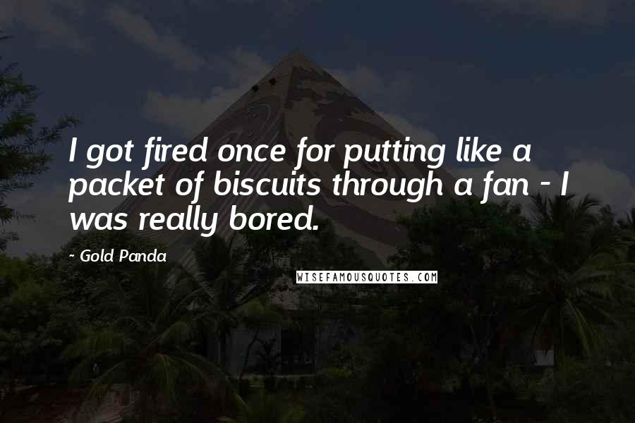 Gold Panda Quotes: I got fired once for putting like a packet of biscuits through a fan - I was really bored.