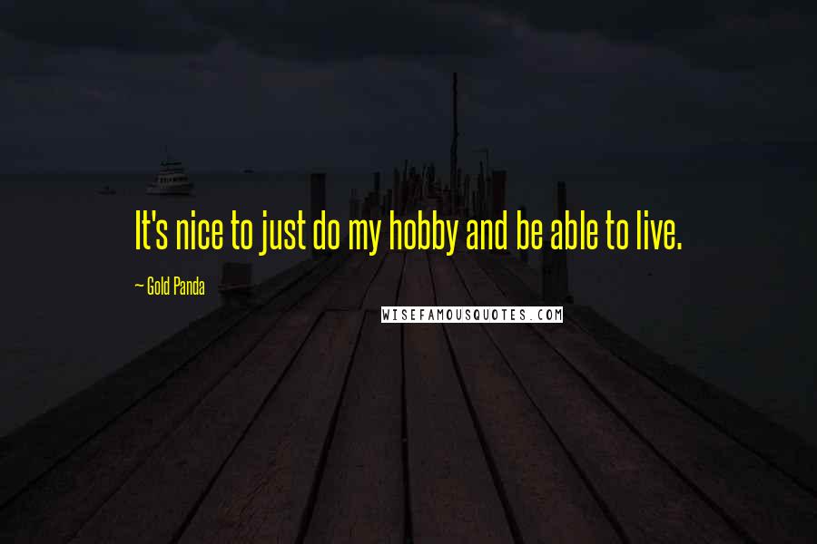 Gold Panda Quotes: It's nice to just do my hobby and be able to live.