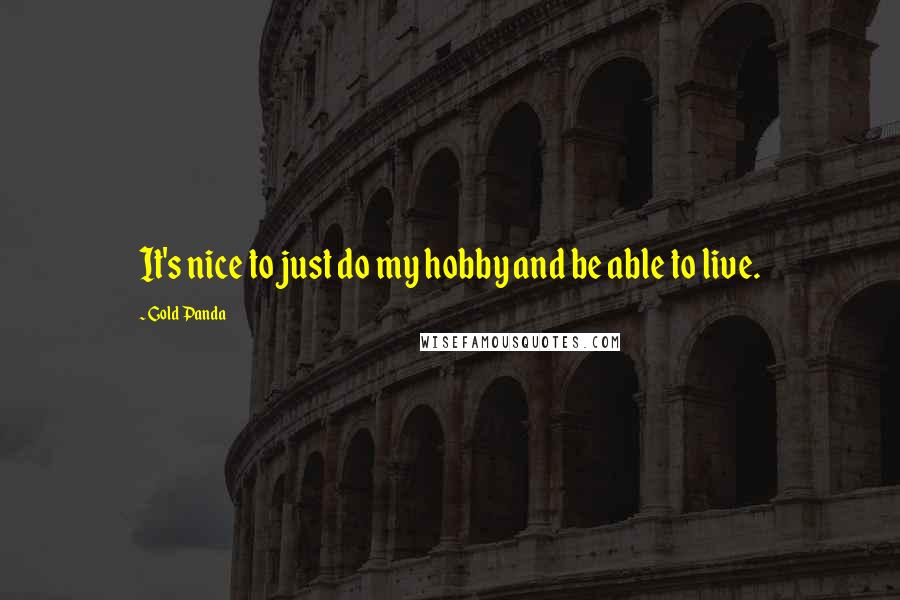 Gold Panda Quotes: It's nice to just do my hobby and be able to live.