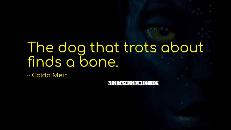 Golda Meir Quotes: The dog that trots about finds a bone.