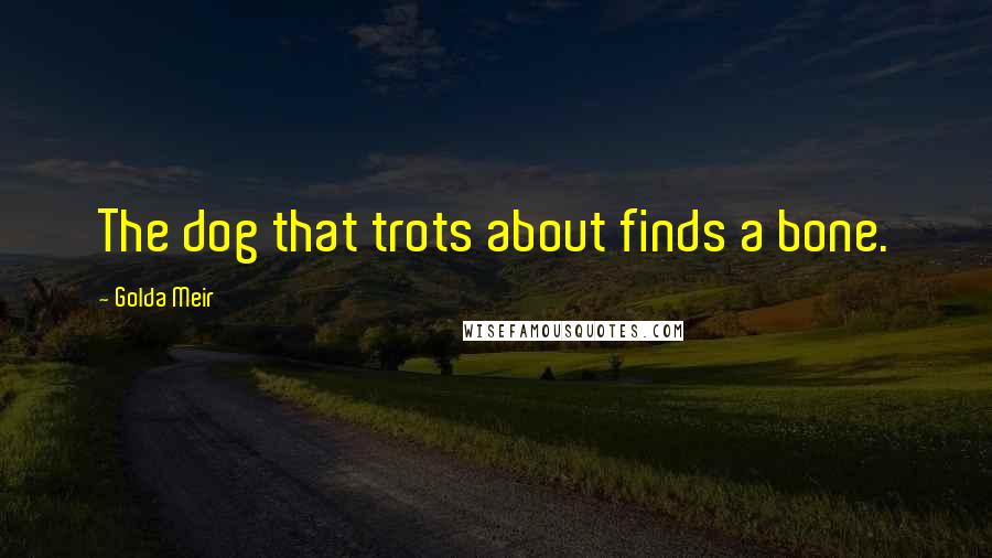 Golda Meir Quotes: The dog that trots about finds a bone.