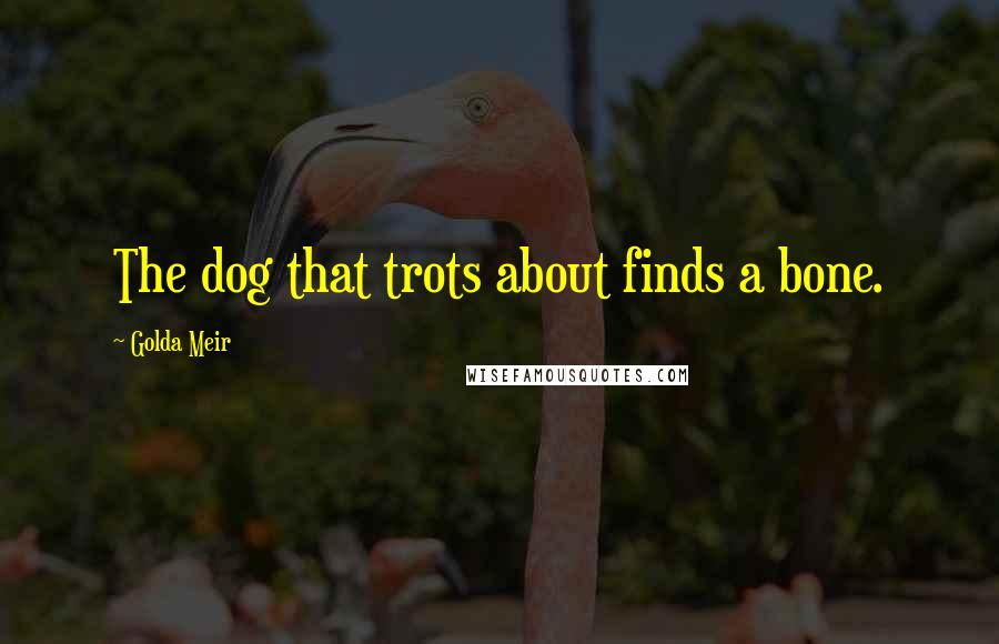 Golda Meir Quotes: The dog that trots about finds a bone.