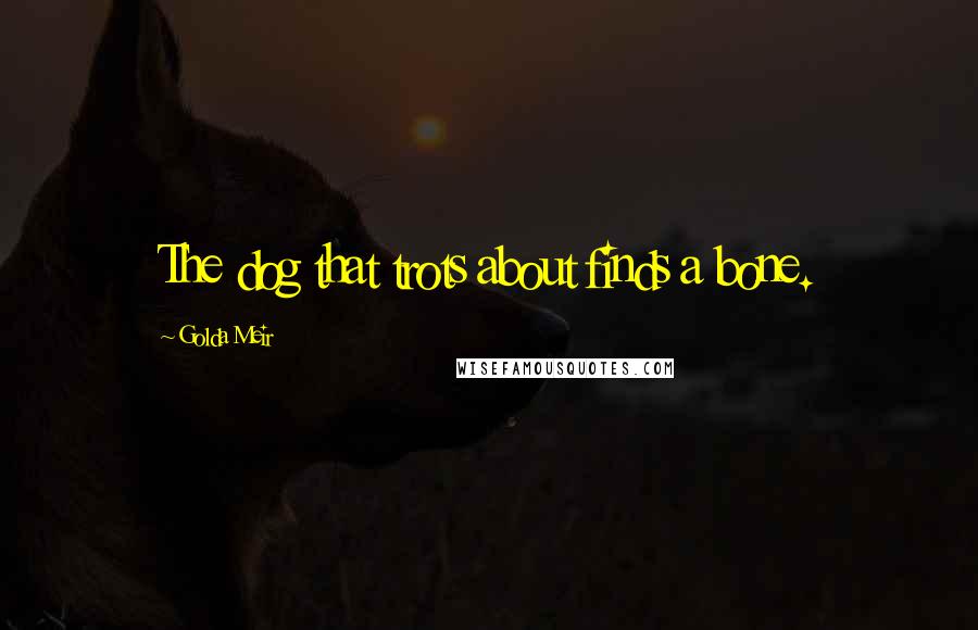 Golda Meir Quotes: The dog that trots about finds a bone.