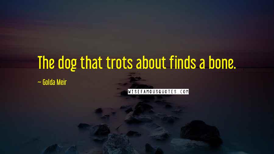 Golda Meir Quotes: The dog that trots about finds a bone.