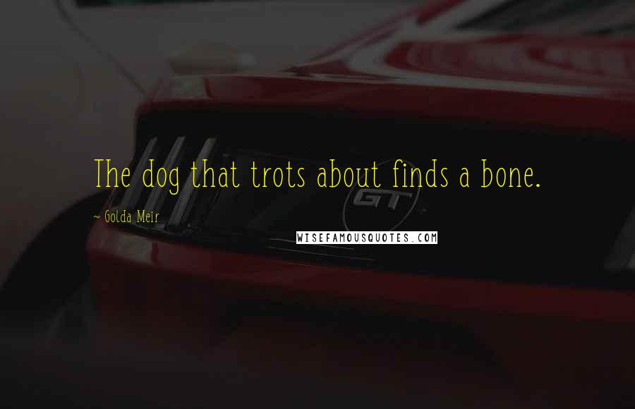 Golda Meir Quotes: The dog that trots about finds a bone.