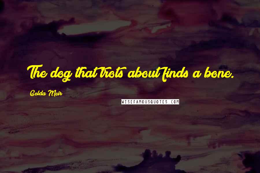 Golda Meir Quotes: The dog that trots about finds a bone.