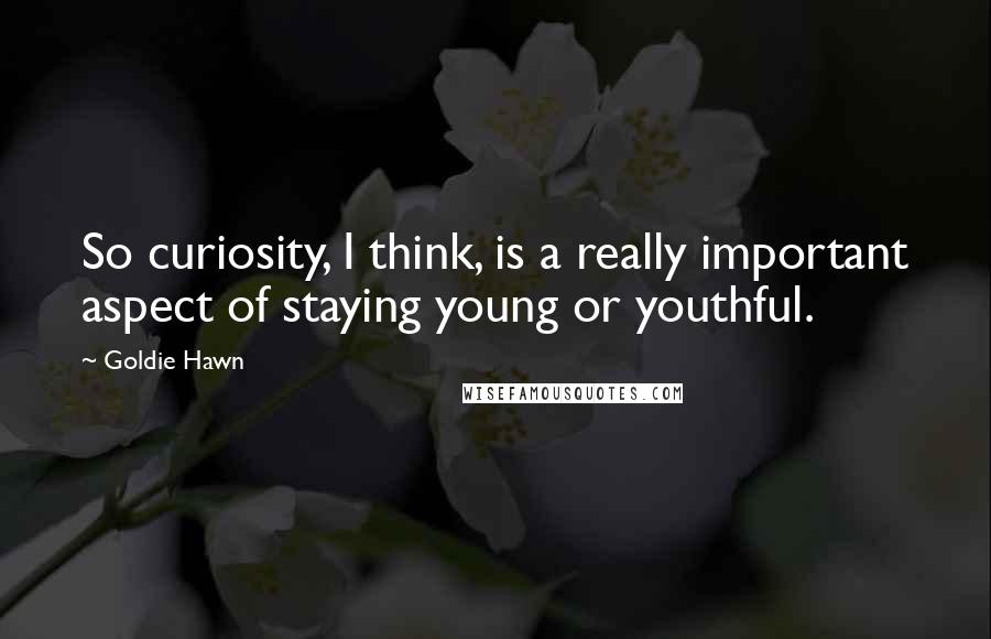 Goldie Hawn Quotes: So curiosity, I think, is a really important aspect of staying young or youthful.