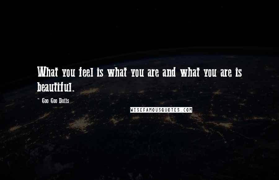 Goo Goo Dolls Quotes: What you feel is what you are and what you are is beautiful.