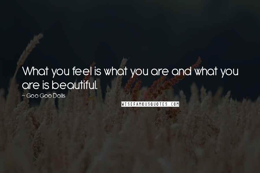 Goo Goo Dolls Quotes: What you feel is what you are and what you are is beautiful.