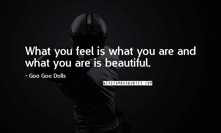 Goo Goo Dolls Quotes: What you feel is what you are and what you are is beautiful.