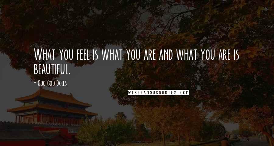 Goo Goo Dolls Quotes: What you feel is what you are and what you are is beautiful.